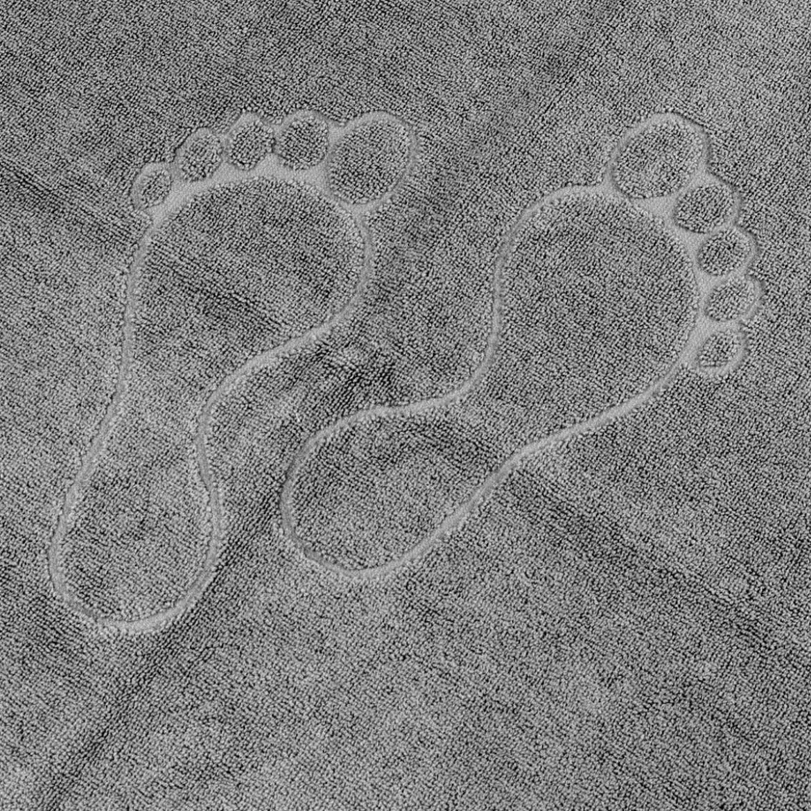 Alfombra De Baño Toosty Gris 50x70Cm