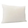 Almohada Látex Especial 45x60Cm