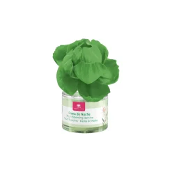 Ambientador C/Flor Dama De Noche 40ml