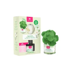 Ambientador C/Flor Dama De Noche 40ml
