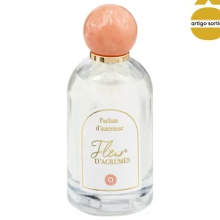 Ambientador spray WILD ROMANCE 100ml