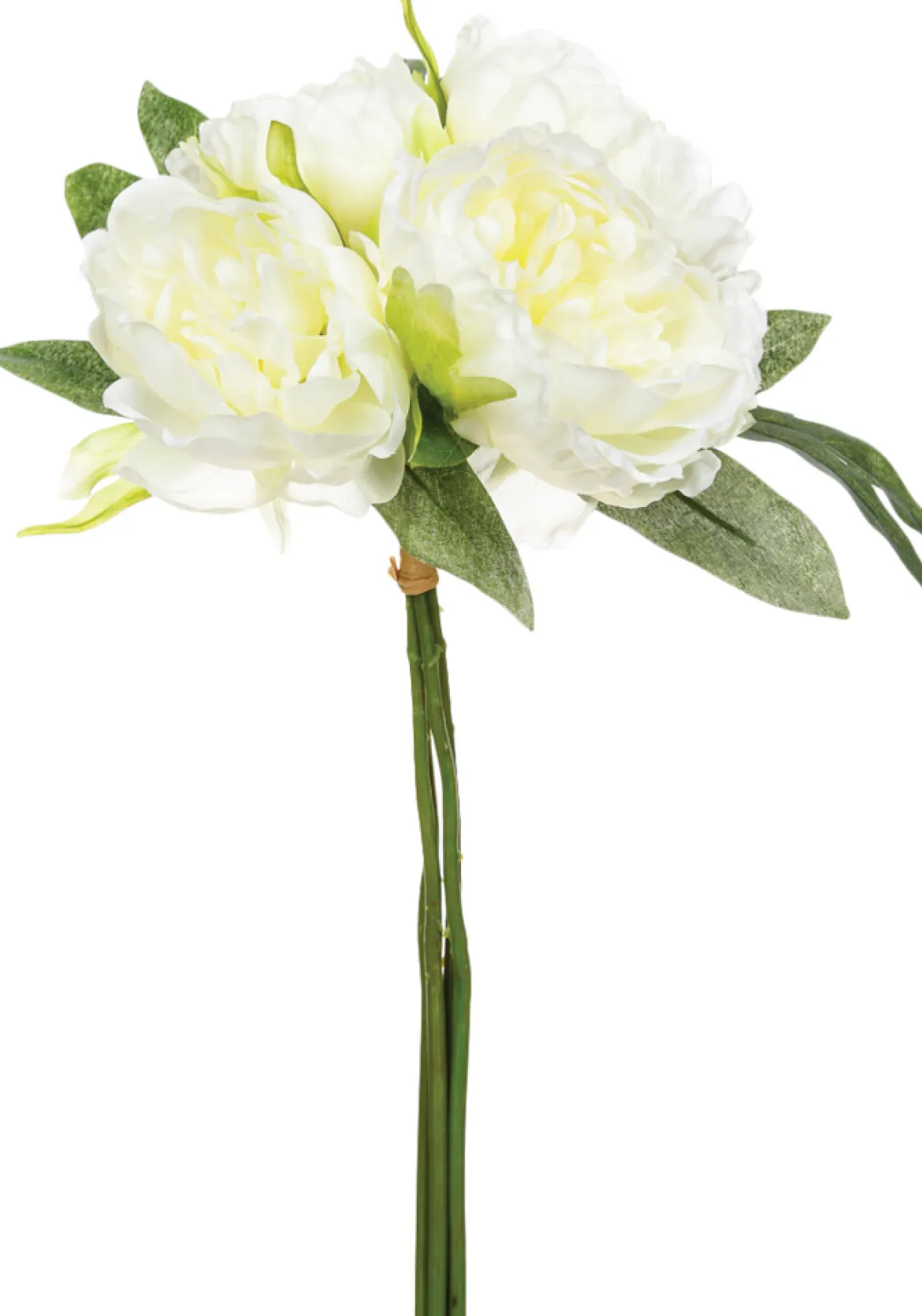 Bouquet Con 4 Peonías Blancas 30Cm