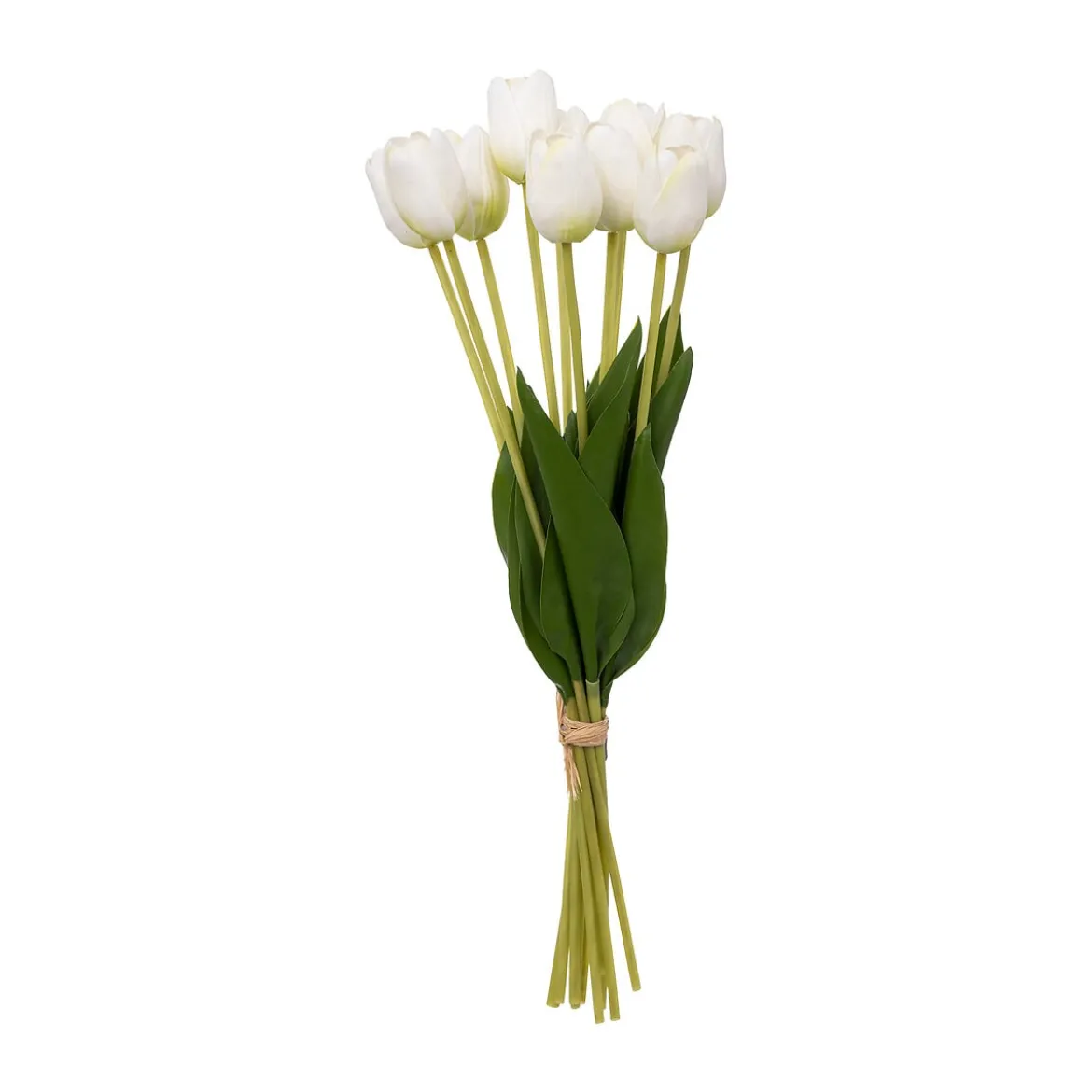 Bouquet C/10 Tulipanes Blancos 16x48Cm