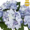 Bouquet De Hortensias 42Cm