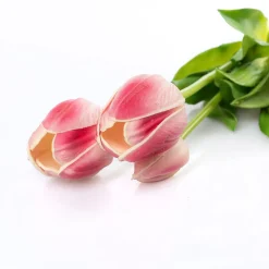 Bouquet De 6 Tulipanes Rosas