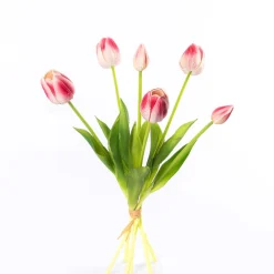 Bouquet De 6 Tulipanes Rosas