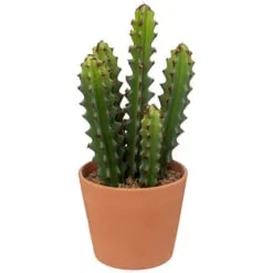 Cactus artificial ALI con maceta terracota