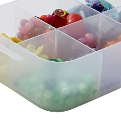 Caja purebox con separadores a6 0.6L