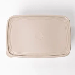 Caja rectangular con tapa beige 4,5L