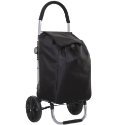Carro De La Compra Plegable C/2 Ruedas