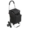 Carro De La Compra Plegable Negro