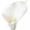 Cartucho Blanco Artificial 75Cm