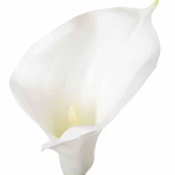 Cartucho Blanco Artificial 75Cm