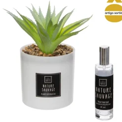 Coffret Cactus C/Ambientador 10x10Cm