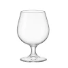 Copa De Coñac 53Cl