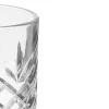 Copa de vino 480 ml de vidrio