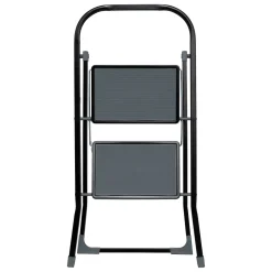 Escalera con 2 peldaños metálicos