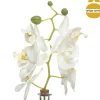 Florero De Vidrio C/Orquídea 40Cm