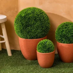 Jardín vertical CARLY 37cm