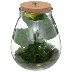 Jarrón de vidrio con plantas artificiales CARAVANE