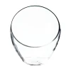Jarrón De Vidrio Transparente 22Cm
