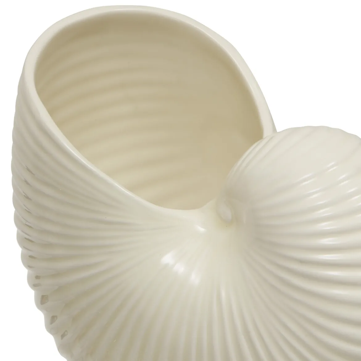 Jarrón en forma de concha OCEANIA 18cm