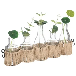 Juego De 5 Floreros De Vidrio C/Plantas