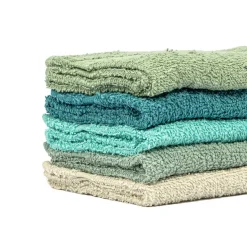 Juego De 5 Paños De Cocina Beige, Verde E Azul