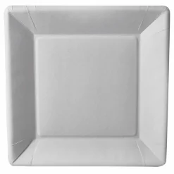 Juego 10 Platos Cartón Cuadrados 22.5Cm