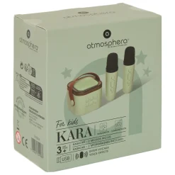 Kit de karaoke con 2 microfonos