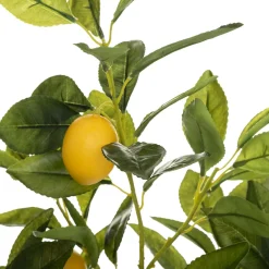 Limonero Con Maceta 73Cm