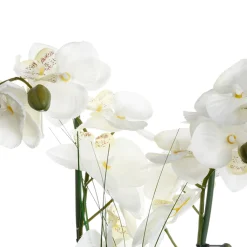 Maceta Cerámica Blanca C/Orquídea 53Cm