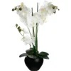 Maceta Cerámica C/Orquídea 53Cm
