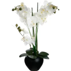 Maceta Cerámica C/Orquídea 53Cm