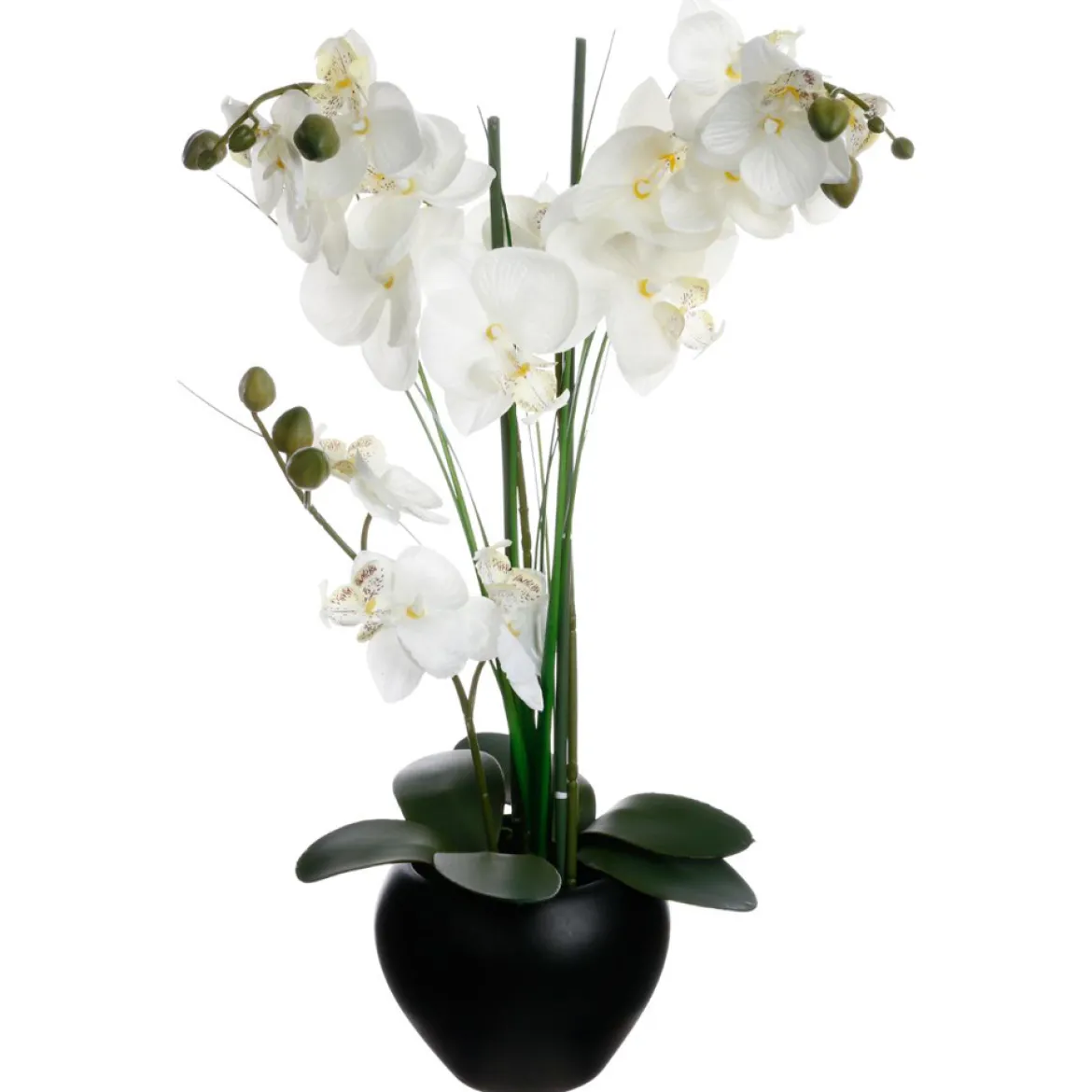 Maceta Cerámica C/Orquídea 53Cm