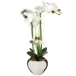 Maceta Cerámica C/Orquídea 53Cm