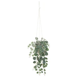 Maceta Colgante Caravane 25x15x80Cm