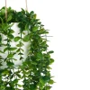 Maceta Colgante Con Planta 22x24x55Cm