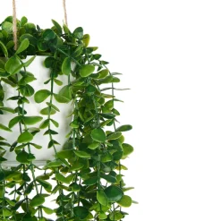 Maceta Colgante Con Planta 22x24x55Cm