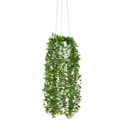 Maceta Colgante Con Planta 22x24x55Cm