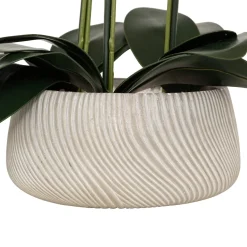 Maceta con orquídea artificial SANAE 65cm