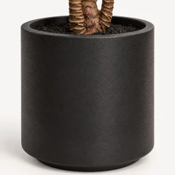Maceta con planta artificial 175cm