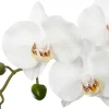 Maceta C/Orquídea Artif.30x6x53Cm