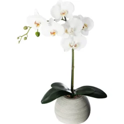 Maceta C/Orquídea Artif.30x6x53Cm