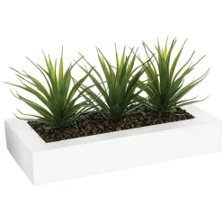 Maceta C/3 Plantas Áloe Vera 31x16x17Cm