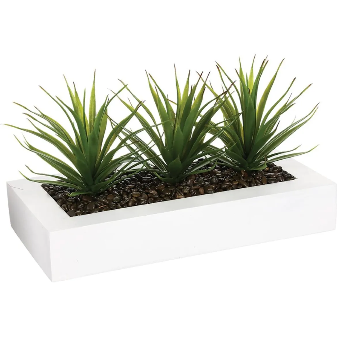 Maceta C/3 Plantas Áloe Vera 31x16x17Cm