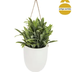 Maceta De Cerámica Colgante C/Planta