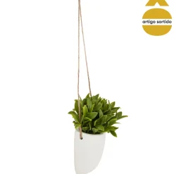 Maceta De Cerámica Colgante C/Planta