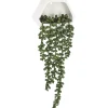 Maceta De Cerámica Con Planta