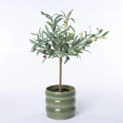 Maceta De Cerámica Ondulada Verde 16cm